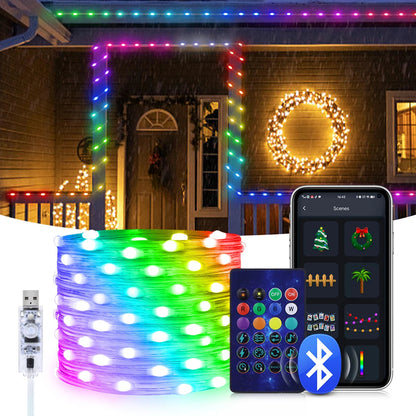 Smart LED Christmas Fairy String Light